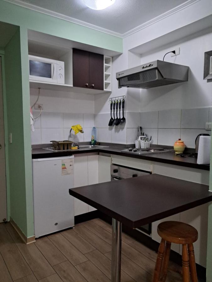 Departamento Studio Amoblado Сантьяго Екстер'єр фото